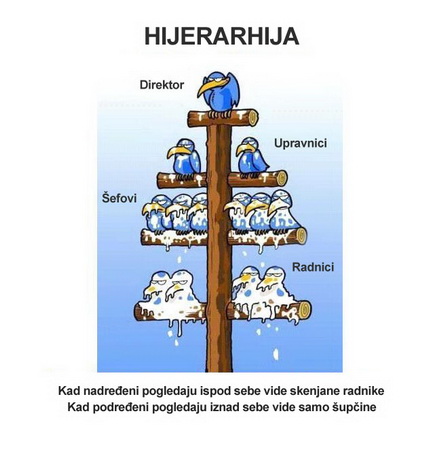 Hijerarhija